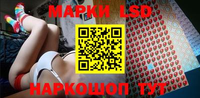 сатива Гатчина