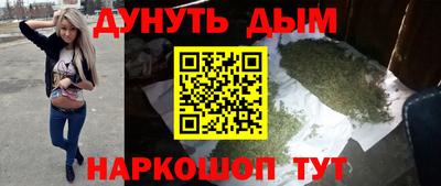 сатива Гатчина