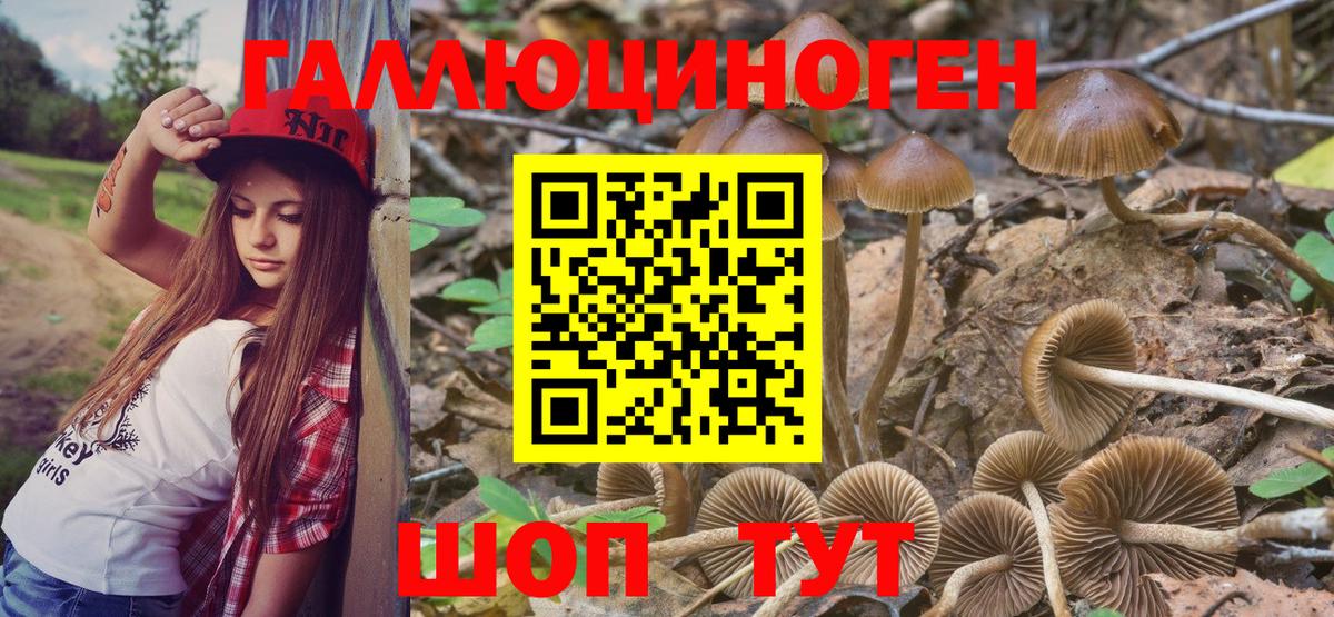 Галлюциногенные грибы MAGIC MUSHROOMS  Вход с VPN  Гагарин 